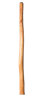 Natural Finish Didgeridoo (TW1798)